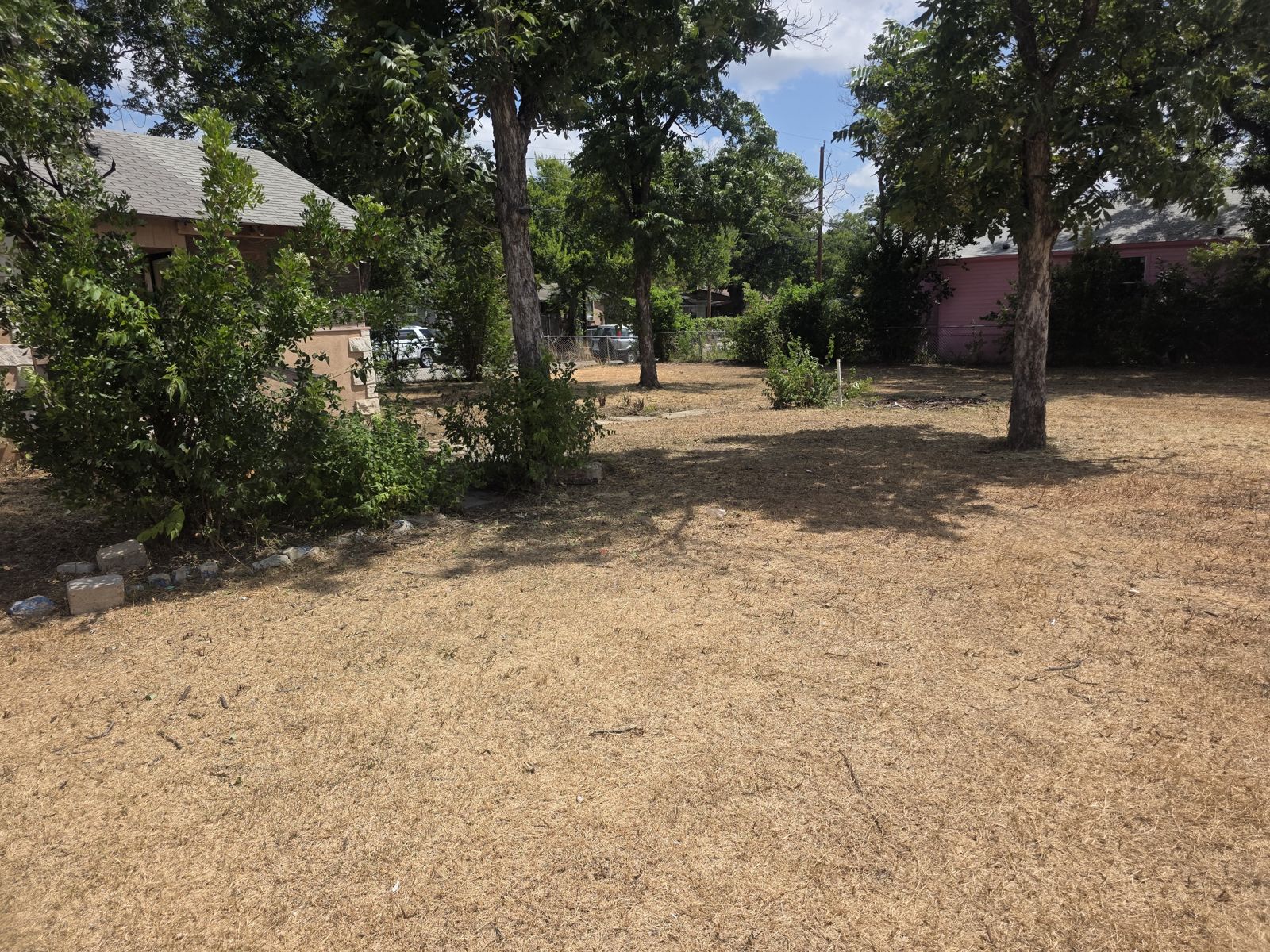 Cleared yard with shade trees and shrubs