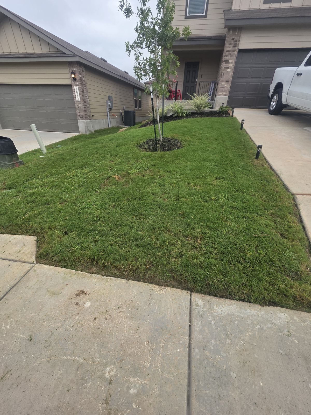Front lawn with a clean edge along the concrete sidewalk