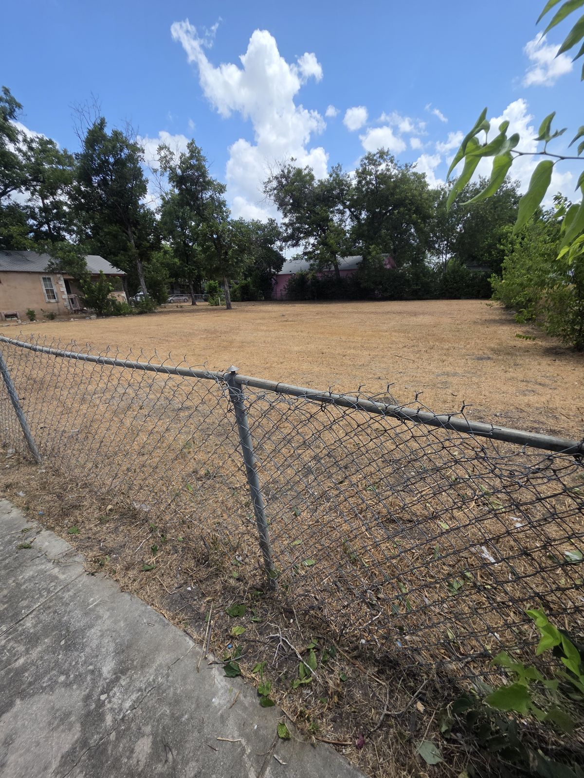 Cleared fence line along a sidewalk