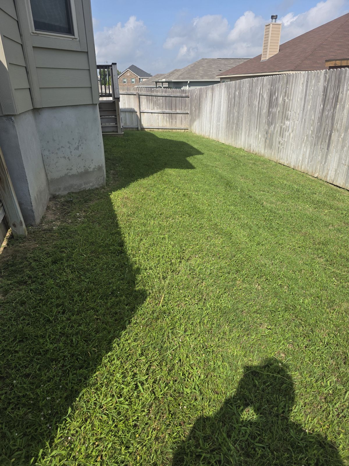 Mowed side-yard lawn next to a house and sidewalk