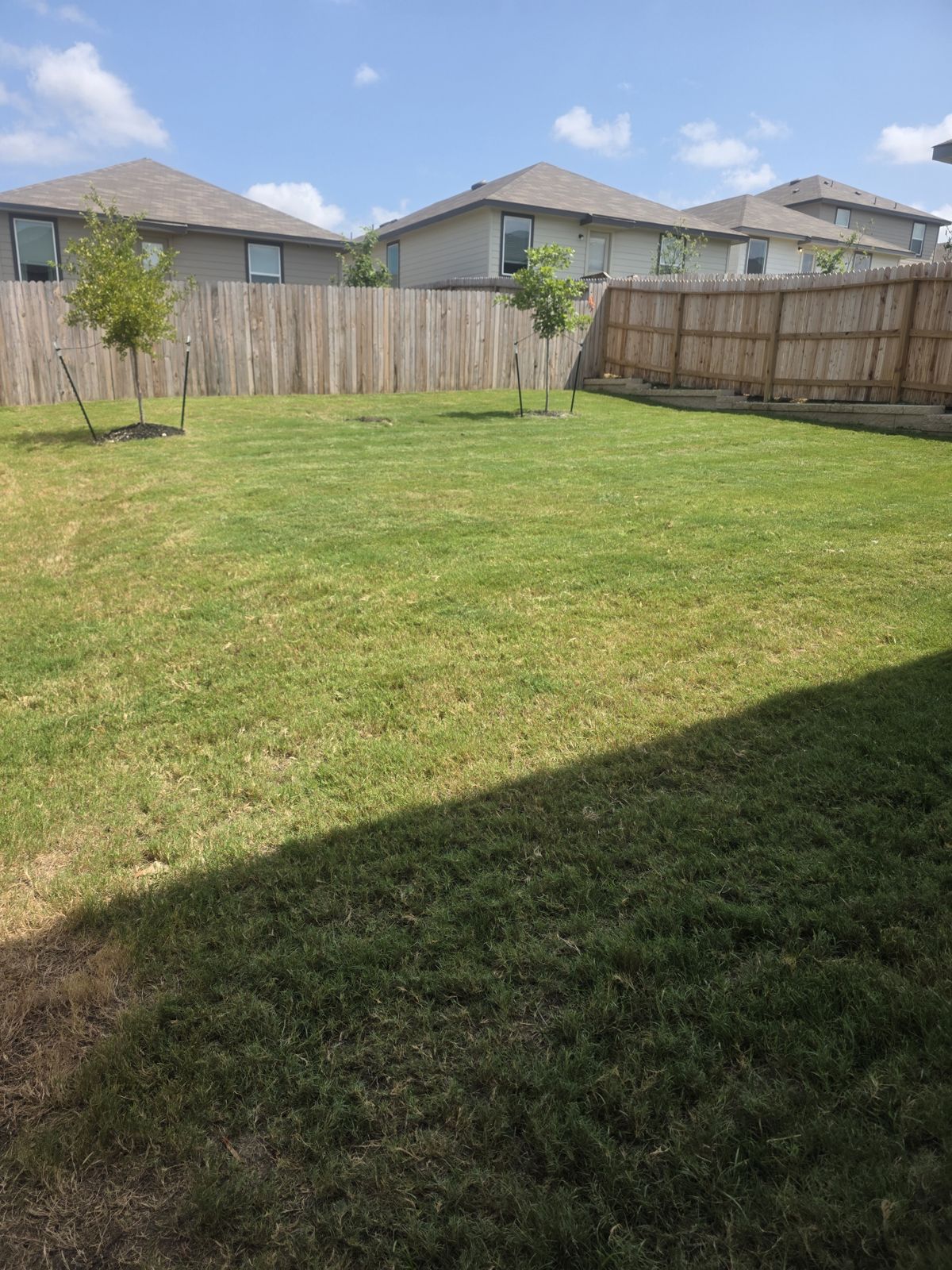 Freshly cut strip of lawn beside a fence