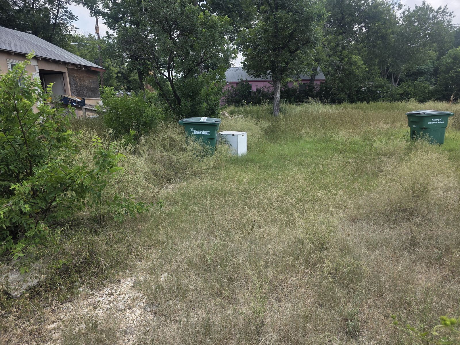 Overgrown yard with tall grass and trash bins