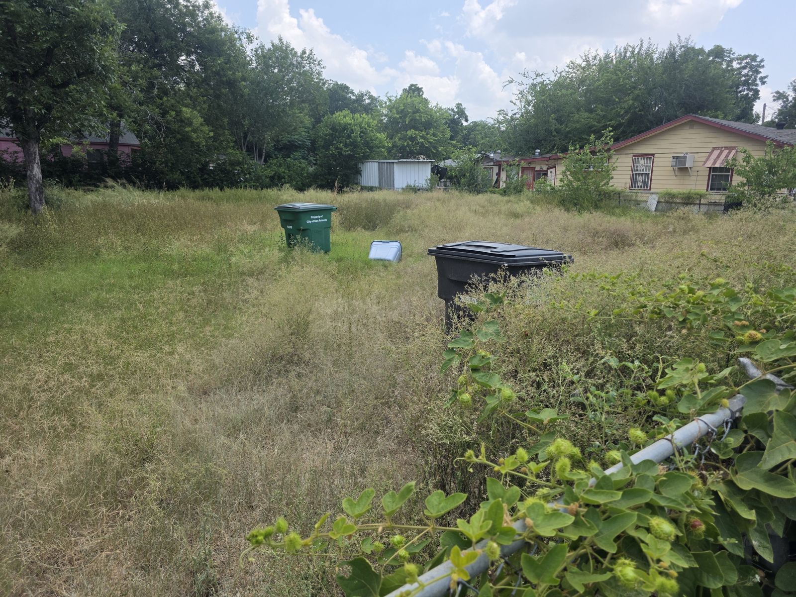 Overgrown yard with tall grass and brush near a house